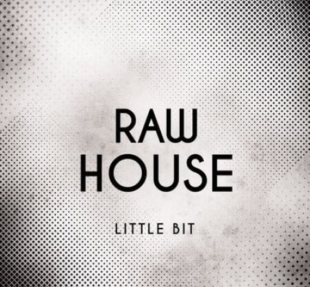 Little Bit Raw House WAV